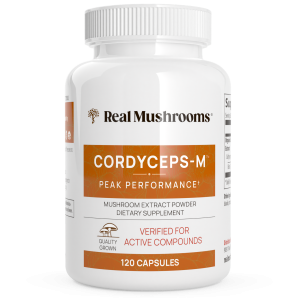 organic cordyceps extract mushroom capsules