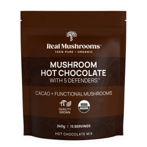 FusionBar Mushroom Hot Chocolate Mix 